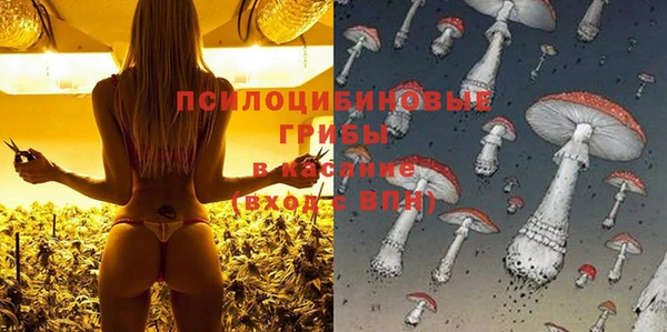 спайс Балахна