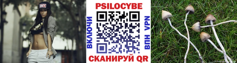 где можно купить наркотик  Каспийск  Галлюциногенные грибы мухоморы 